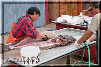 Fische werden auseinander genommen in Homer Spit