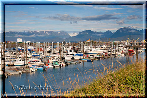 Homer Spit, der Yachthafen mit seinen zahlreichen Booten