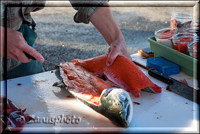 Homer Spit, Lachs wird am Tisch filetiert