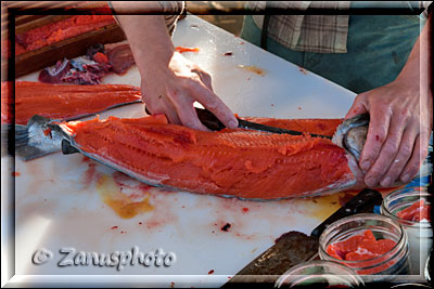 Homer Spit, Lachs Filetierung am Ufer der Fishing Hole