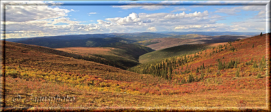 Kanada, vom Highway aus können wir weit nach Alaska hineinschauen