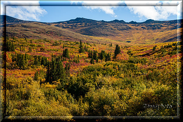 Alaska, Indian Summer am Taylor Highway