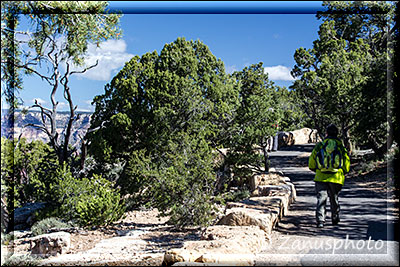 Im Grand Canyon ist eine Wanderin ist auf dem Rim Trail Richtung Süden unterwegs