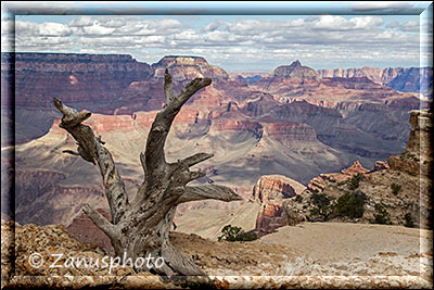 Ansicht der Grand Canyon Nordseite von Süden aus gesehen