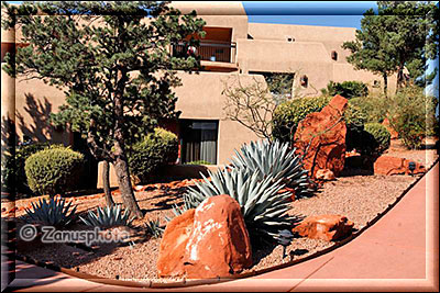 Gartenansicht am Best Western Hotel in Sedona