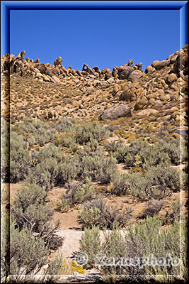 Alabama Hills, wir suchen gerade den in der oberen Bildmitte recht klein zu sehenden Whitney Portal Arch