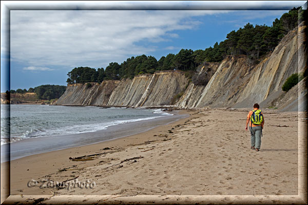 Bowling Beach Area einige Kilometer von Point Arena in Californien entfernt