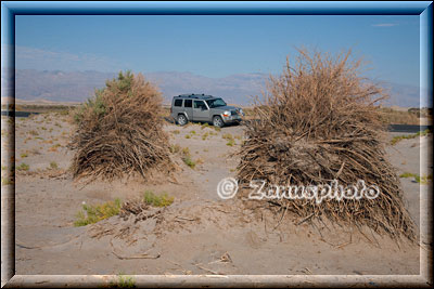 Death Valley am Devils Cornfield