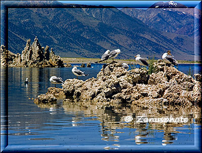 Mono Lake, rund um den Lake