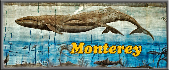 Monterey, eine Perle am Pacific Monterey, Titelbild zur Webseite