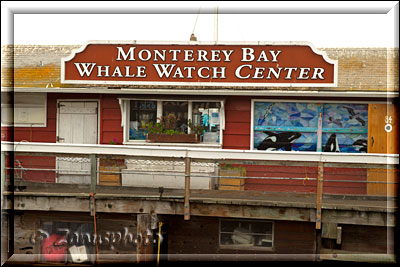 Monterey, Angebote für Whale Watching an einem Tourist Center