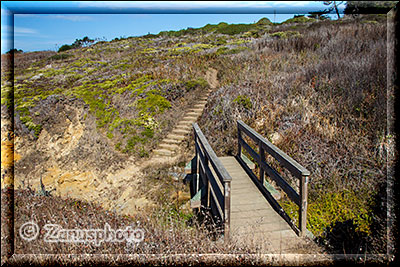 Pebble Beach
