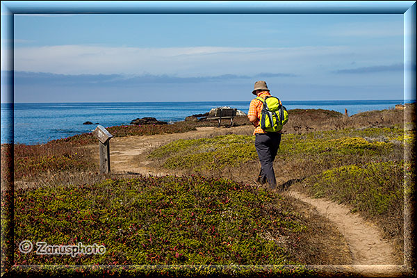 Pebble Beach 