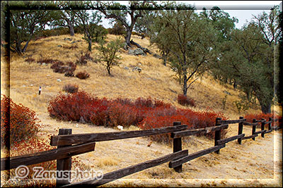 Pinnacles National Park, 