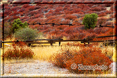 Pinnacles National Park, 