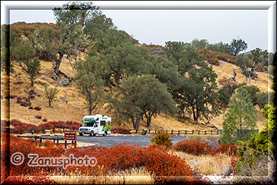 Pinnacles National Park, an der Westseite am Chaparral Bereich