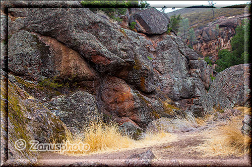 Pinnacles National Park, Blick auf den Wander Trail der zum Bear Gulch Reservoir führt