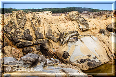 Salt Point State Park, wenige Tafonis finden wir hier