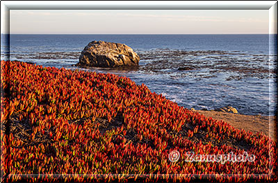 Salt Point State Park, Beachbereich in der Abendsonne