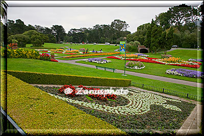 San Francisco, wir schauen gerade in den Golden Gate Park hinein