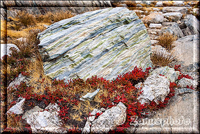 Yosemite - Saddlebag Lake, schöner Felsbrocken umgeben von roten Gewächsen