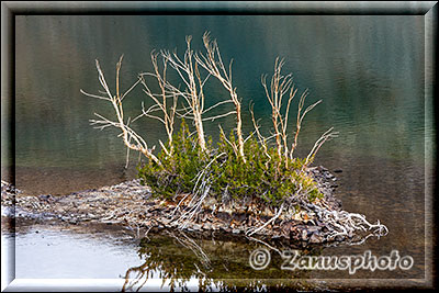 Yosemite - Saddlebag Lake, immer wieder kommen wir an kleinen Lakes vorbei