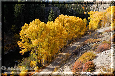 Alpine Loop Road mit gelben Aspen 