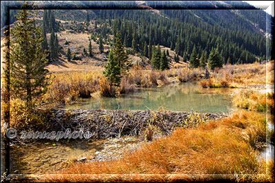 Alpine Loop Road 