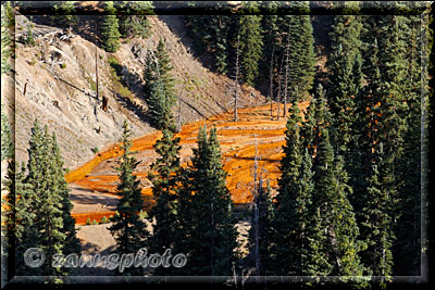 Weiterer Blick auf die Red Mountains mit kleinem Creek im Talbereich