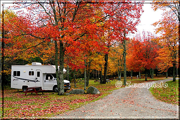 Ganz allein steht ein Camper von roten Bäumen umgeben auf dem Mount Dessert Campground