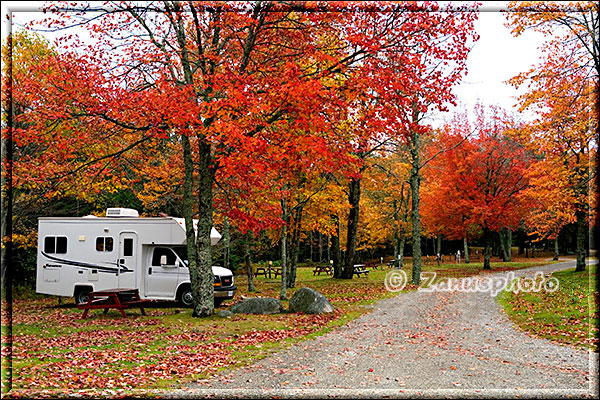 New England - Maine, ganz allein steht ein Camper von roten Bäumen umgeben auf dem Mount Dessert Campground