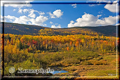 New England - Maine, tolle Aussicht auf die farbige Herbstlandschaft