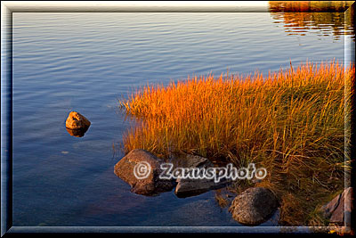 New England - Maine, eine Gasbewachsene Landzunge streckt sich am Ufer des Atlantik Ozean