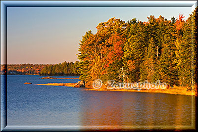 New England - Maine, Waldrand nahe am Ufer des Atlantik