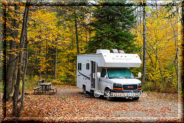 New England - Vermont, unser Camper steht im Wald auf einer Campsite umgeben von gelben Bäumen