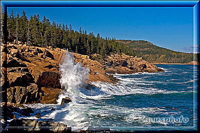 New England - Maine, immer wieder springen die Wassersäulen an die Felsen der Küste