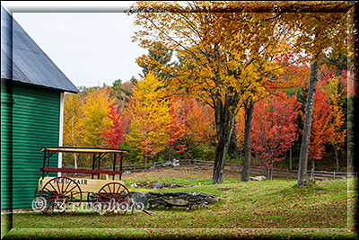New England - Vermont, eine grüne Scheune mit herbstlichem Wald dahinter