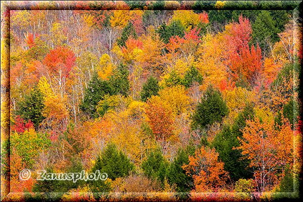 New England - Vermont, in mehreren Farben leuchtender Wald liegt vor uns