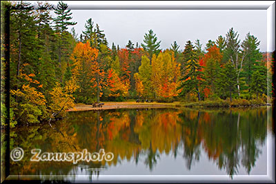 Lake mit bewaldetem Ufer