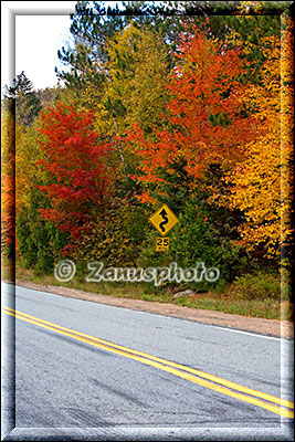 Osten der USA, indian Summer am Rande eines Highway