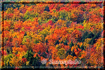 Weitere bunte Herbstansichten nahe den Whiteface Mountains