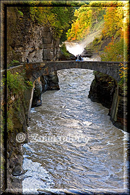 Wilder Canyon des Genesee River