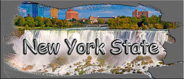 Titelbild der Webseite New York State