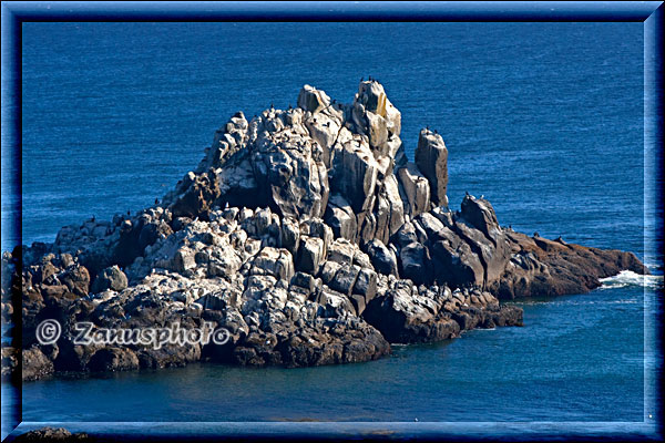 Felsen der Kormorane und Seelöwen