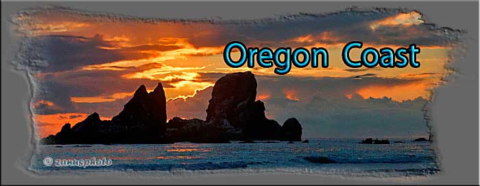 Titelbild der Webseite Oregon Titelbild der Webseite Oregon