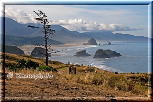 Vom Ecola State Park auf die Küste vor Cannon Beach gesehen