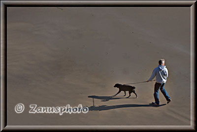 Einsamer Wanderer mit Hund an der Beach