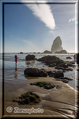 Needles an der Cannon Beach