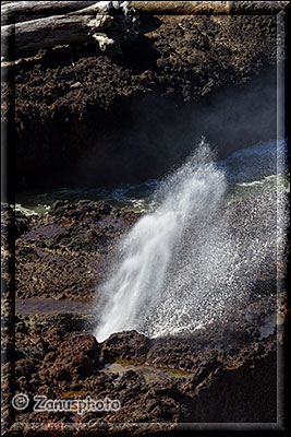 Spouting Horn bläßt