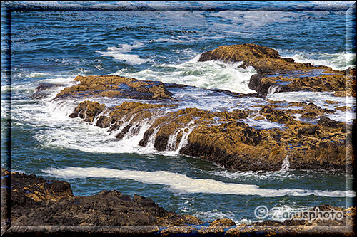 Wilder Pacific am Cape Perpetua